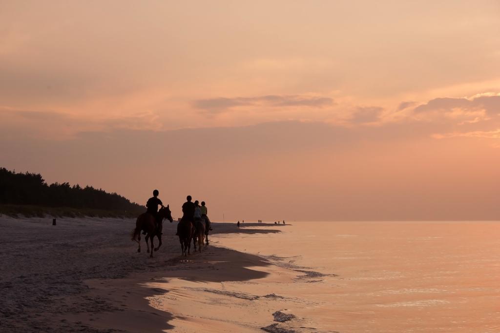 Osrodek Wypoczynku I Rekreacji Venus Resort *